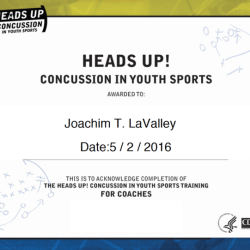 Resources concussion heads fact sheet