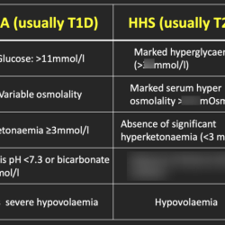 Diabetes type 1 hesi case study