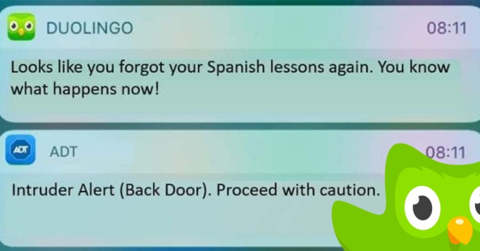 Are you using the telephone in spanish duolingo