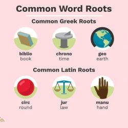 Latin and greek root word meaning match answer key