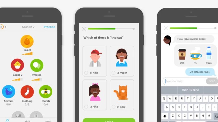 Are you using the telephone in spanish duolingo