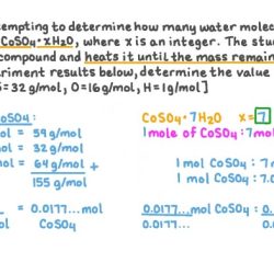 Experiment 5 percent water in a hydrated salt